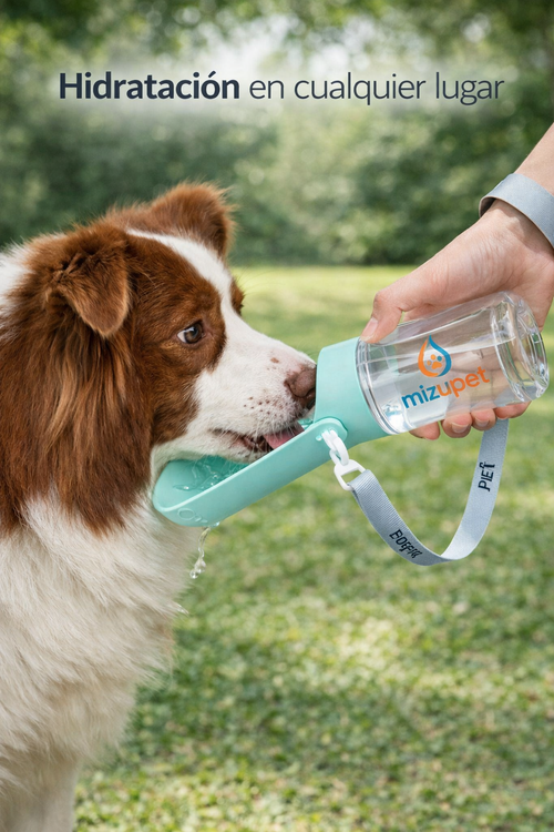 Botella de Agua Portátil para Perros y Gatos 550ml | Plegable, Antifugas y con Correa – Mizupet