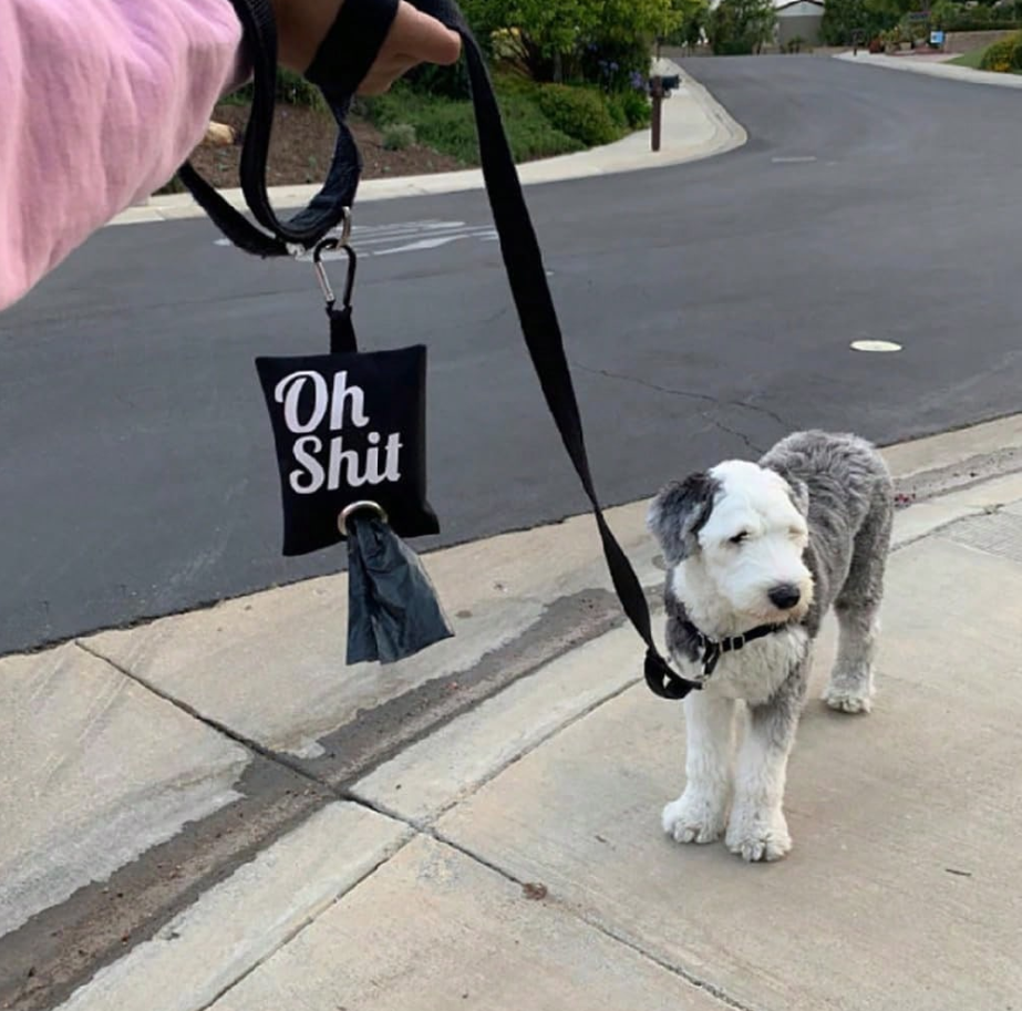 Dispensador de Bolsas para Perros Mizupet | Porta Bolsas Portátil con Mosquetón – Resistente, Compacto y Elegante - imagen 1