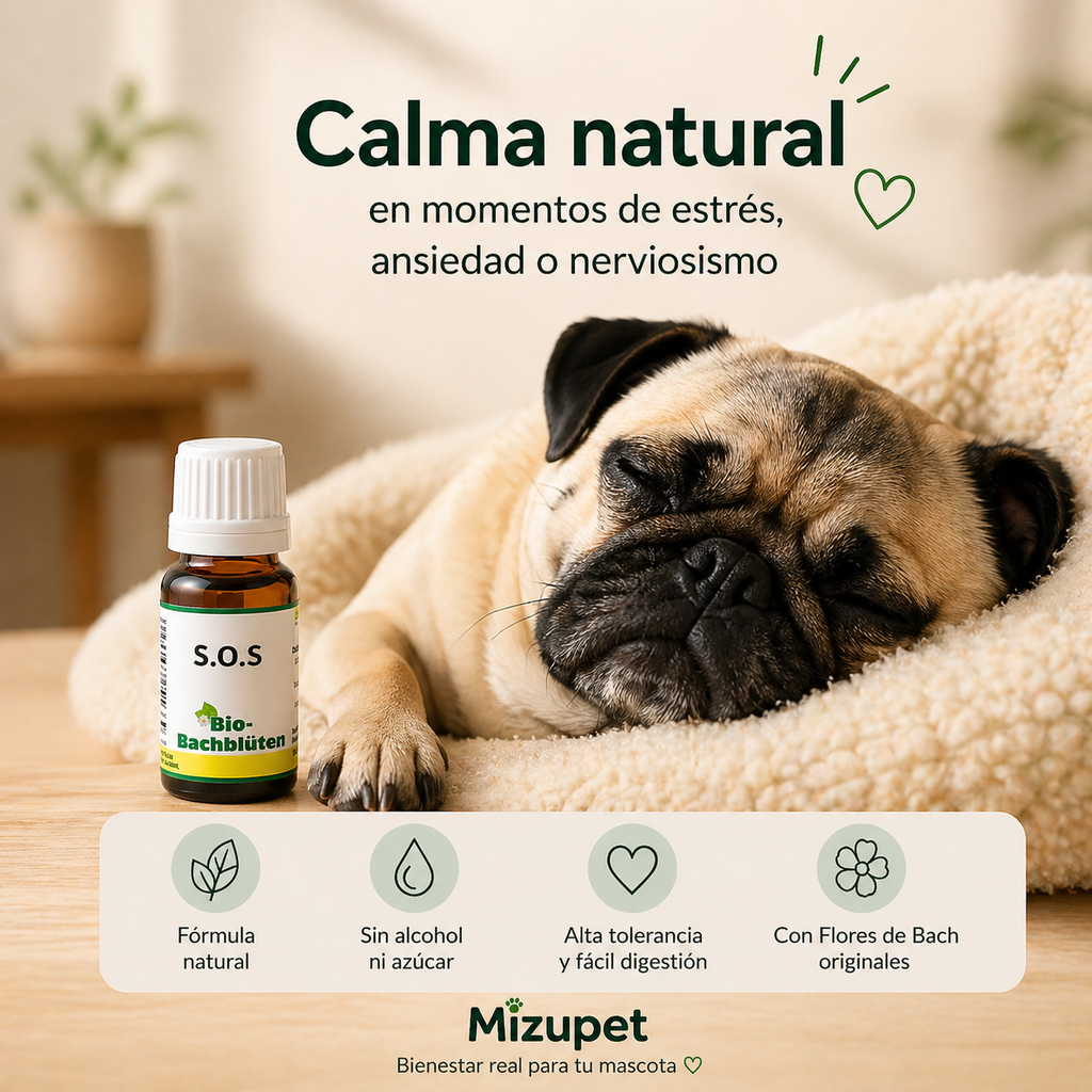 Flores de Bach SOS para Perros – Calma Natural Antiestrés - imagen 3