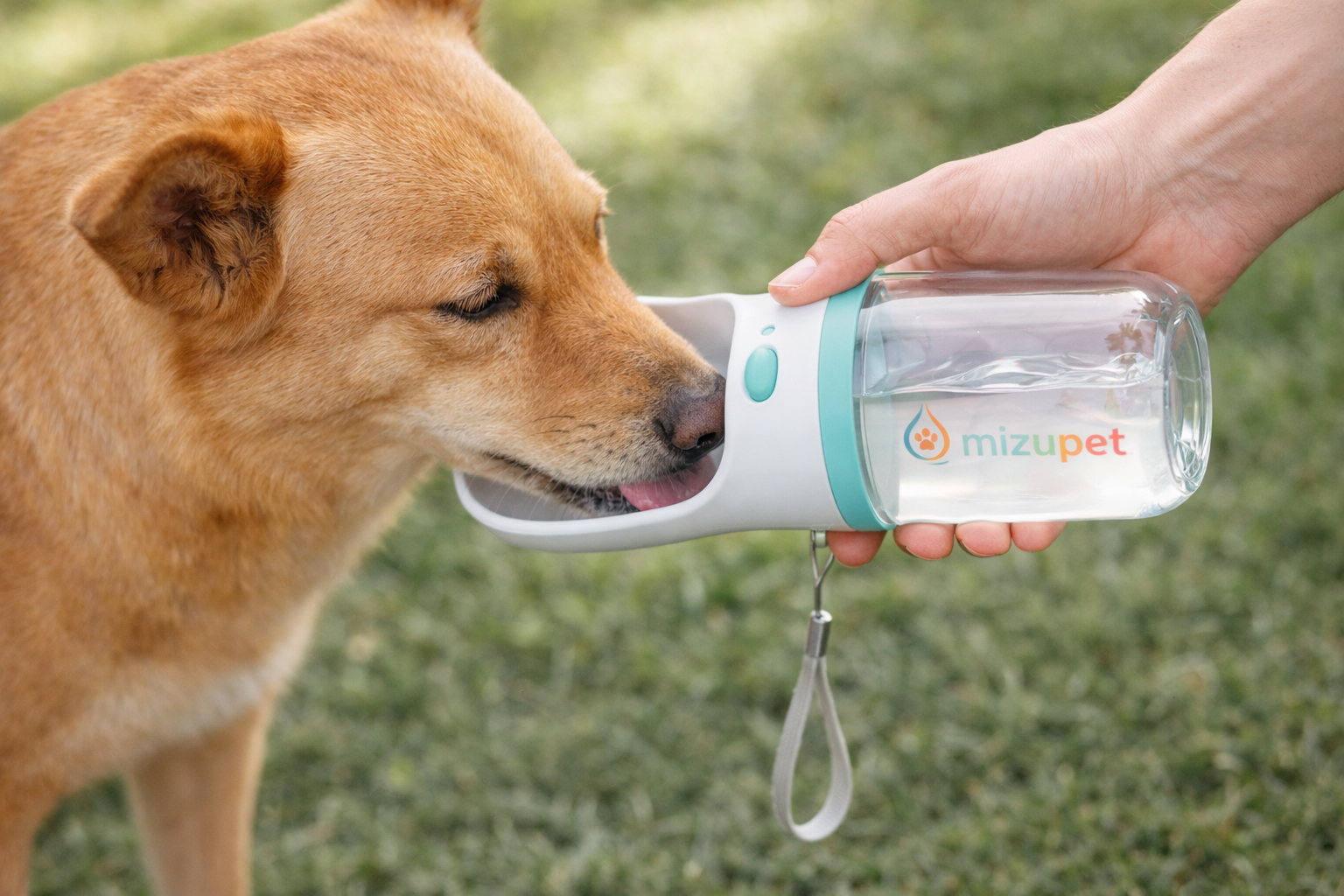 Perro bebiendo de una botella Mizupet durante un paseo